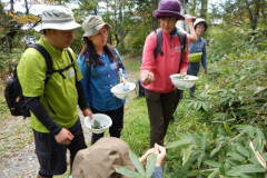 森のお茶会