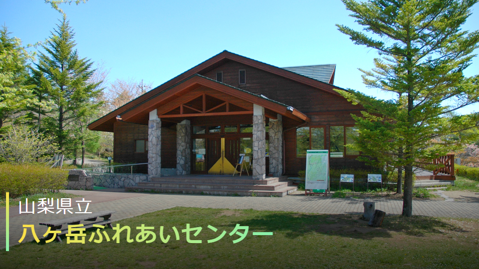 ふれあいセンター